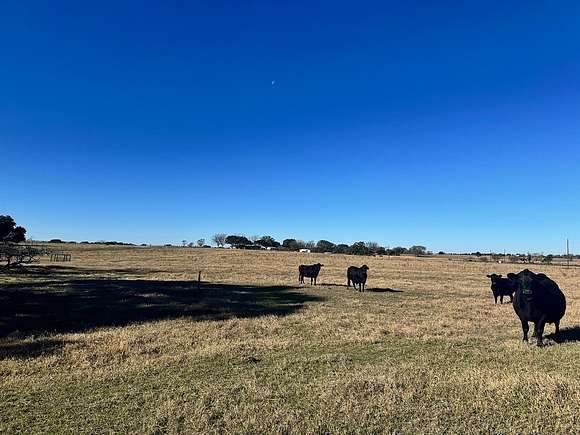 13.164 Acres of Agricultural Land for Sale in Dubina, Texas