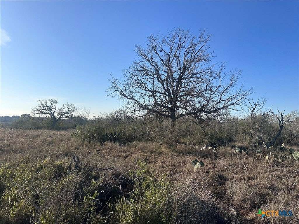 32 Acres of Recreational Land & Farm for Sale in Floresville, Texas