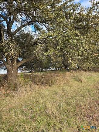 5 Acres of Land for Sale in Oglesby, Texas