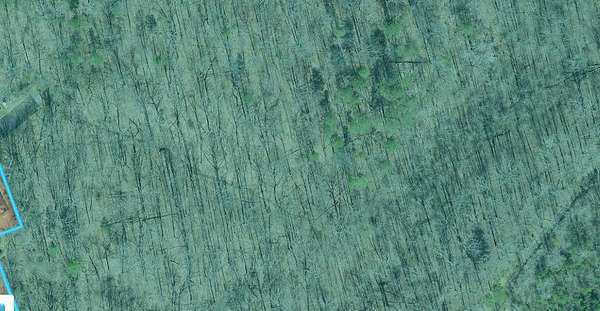 61.9 Acres of Recreational Land for Sale in Ooltewah, Tennessee