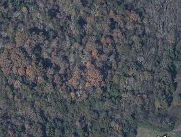 371 Acres of Recreational Land for Sale in McDonald, Tennessee