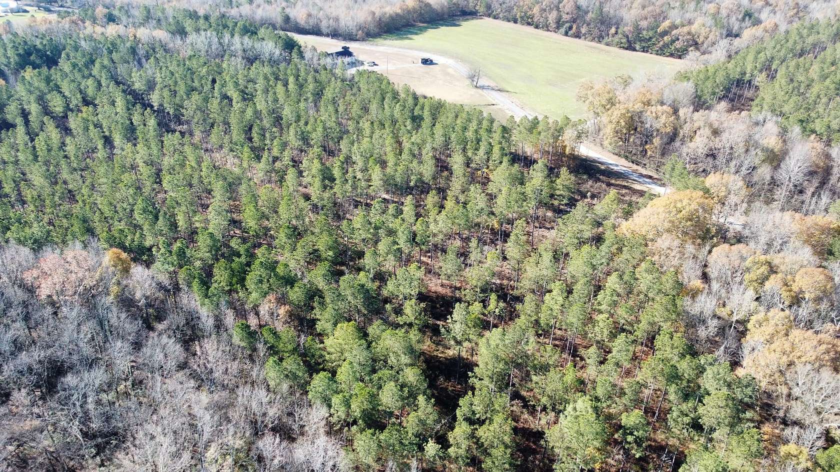 23 Acres of Recreational Land & Farm for Sale in Hatton, Alabama