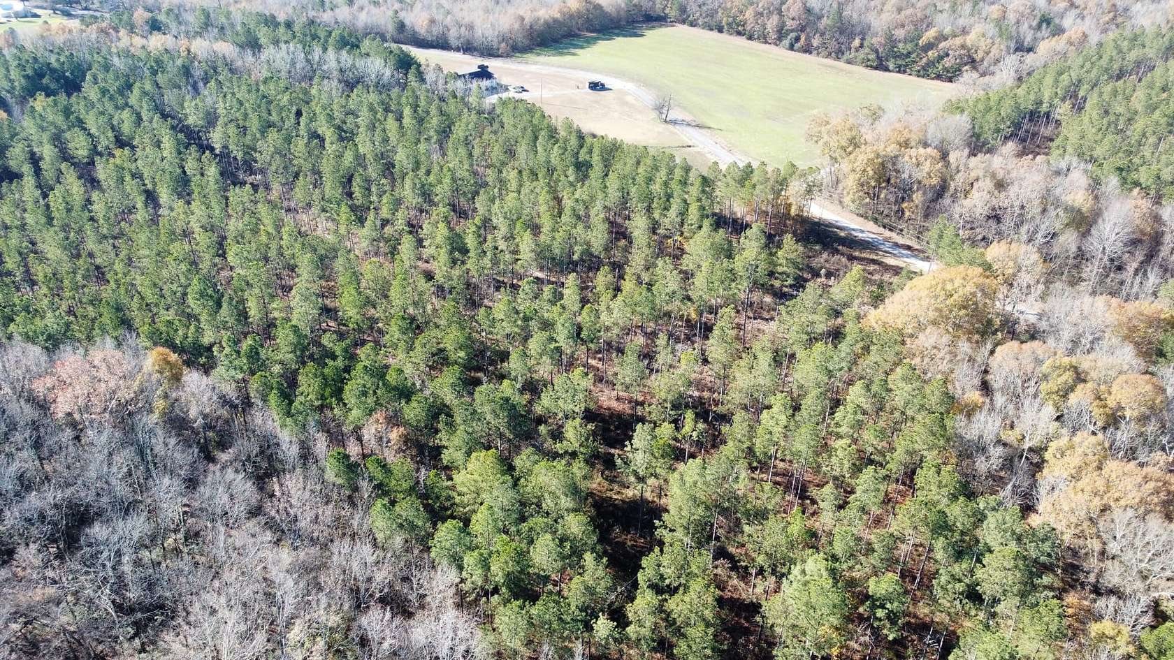 23 Acres of Land for Sale in Hatton, Alabama