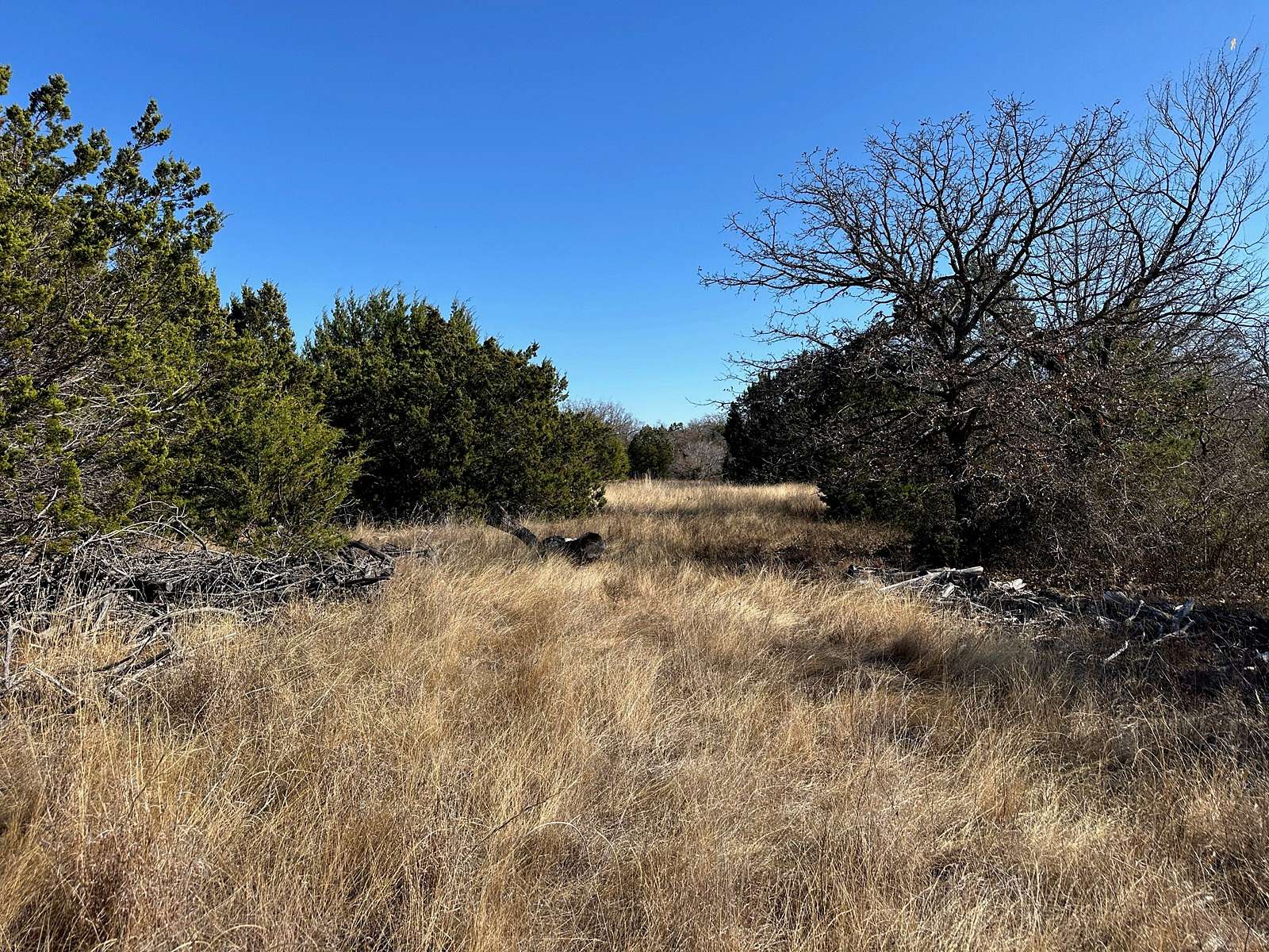 10.2 Acres of Land for Sale in Bangs, Texas