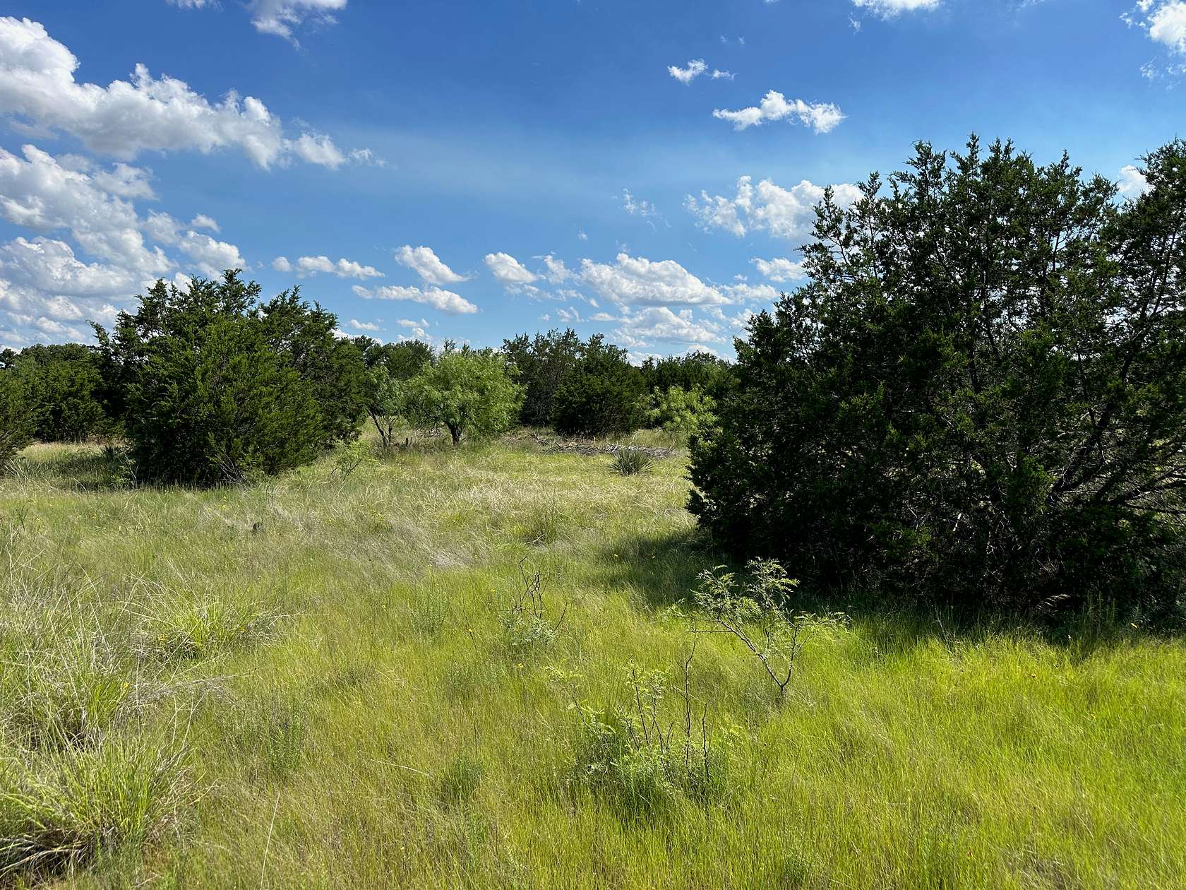 10.2 Acres of Land for Sale in Bangs, Texas