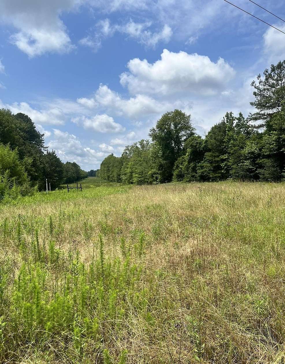 12 Acres of Land for Sale in Laurel, Mississippi