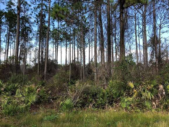 2.82 Acres of Residential Land for Sale in Carrabelle, Florida