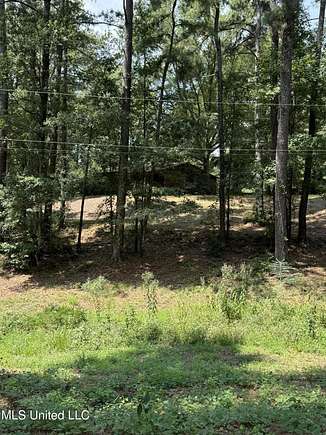 50.5 Acres of Recreational Land for Sale in Raleigh, Mississippi