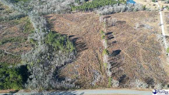 21.3 Acres of Recreational Land for Sale in Cheraw, South Carolina