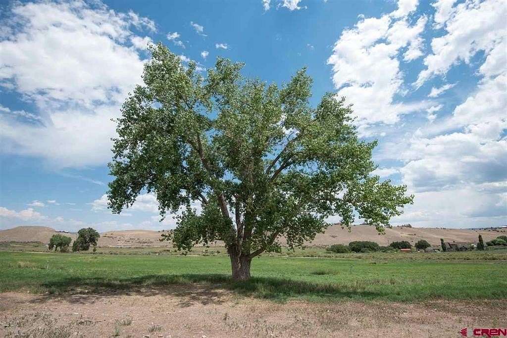 57 Acres of Land for Sale in Montrose, Colorado