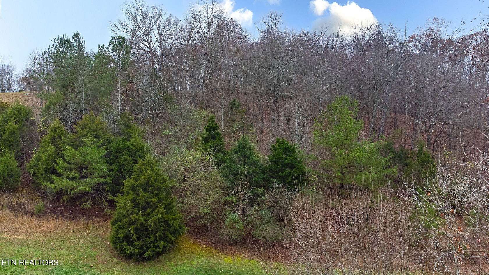 0.92 Acres of Residential Land for Sale in Loudon, Tennessee