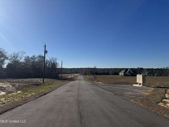 0.34 Acres of Residential Land for Sale in Perkinston, Mississippi