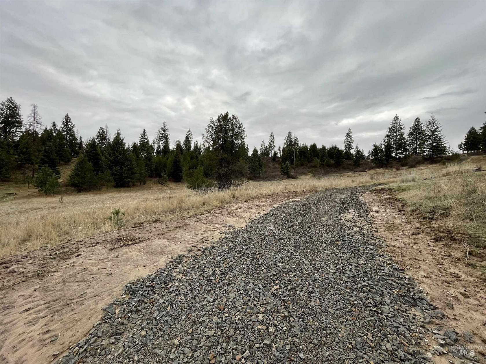 40 Acres of Land for Sale in Princeton, Idaho