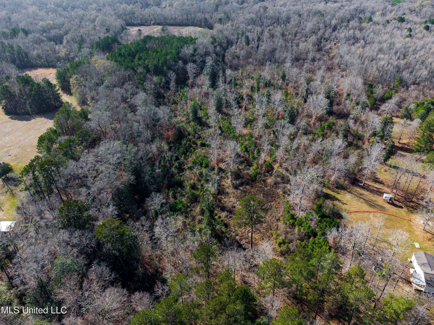 23.7 Acres of Land for Sale in Bogue Chitto, Mississippi