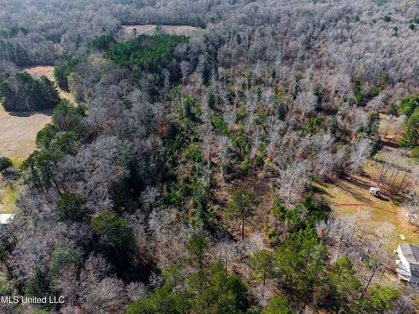 23.7 Acres of Land for Sale in Bogue Chitto, Mississippi