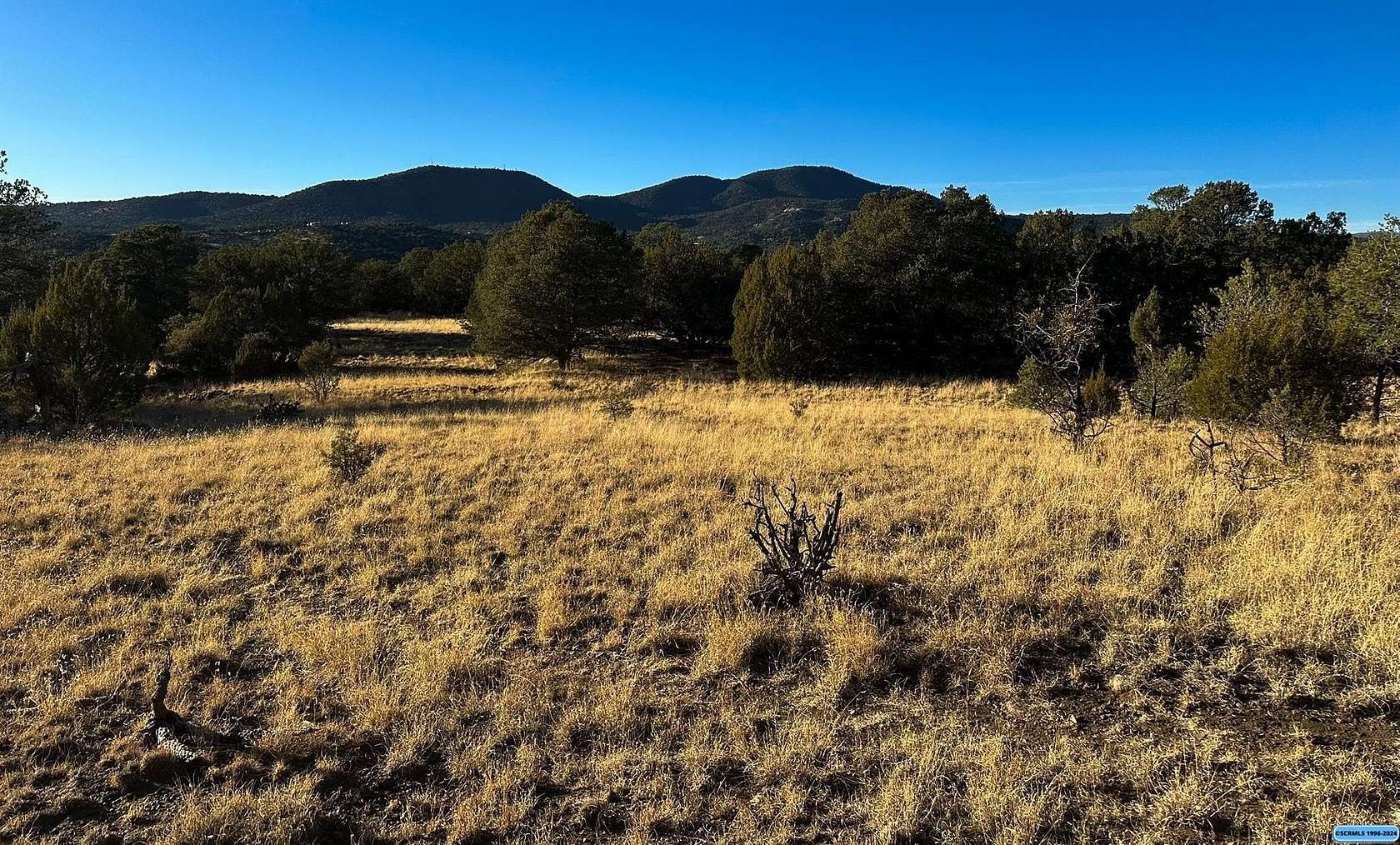 12 Acres of Land for Sale in Silver City, New Mexico