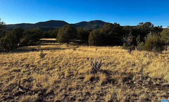 12 Acres of Land for Sale in Silver City, New Mexico