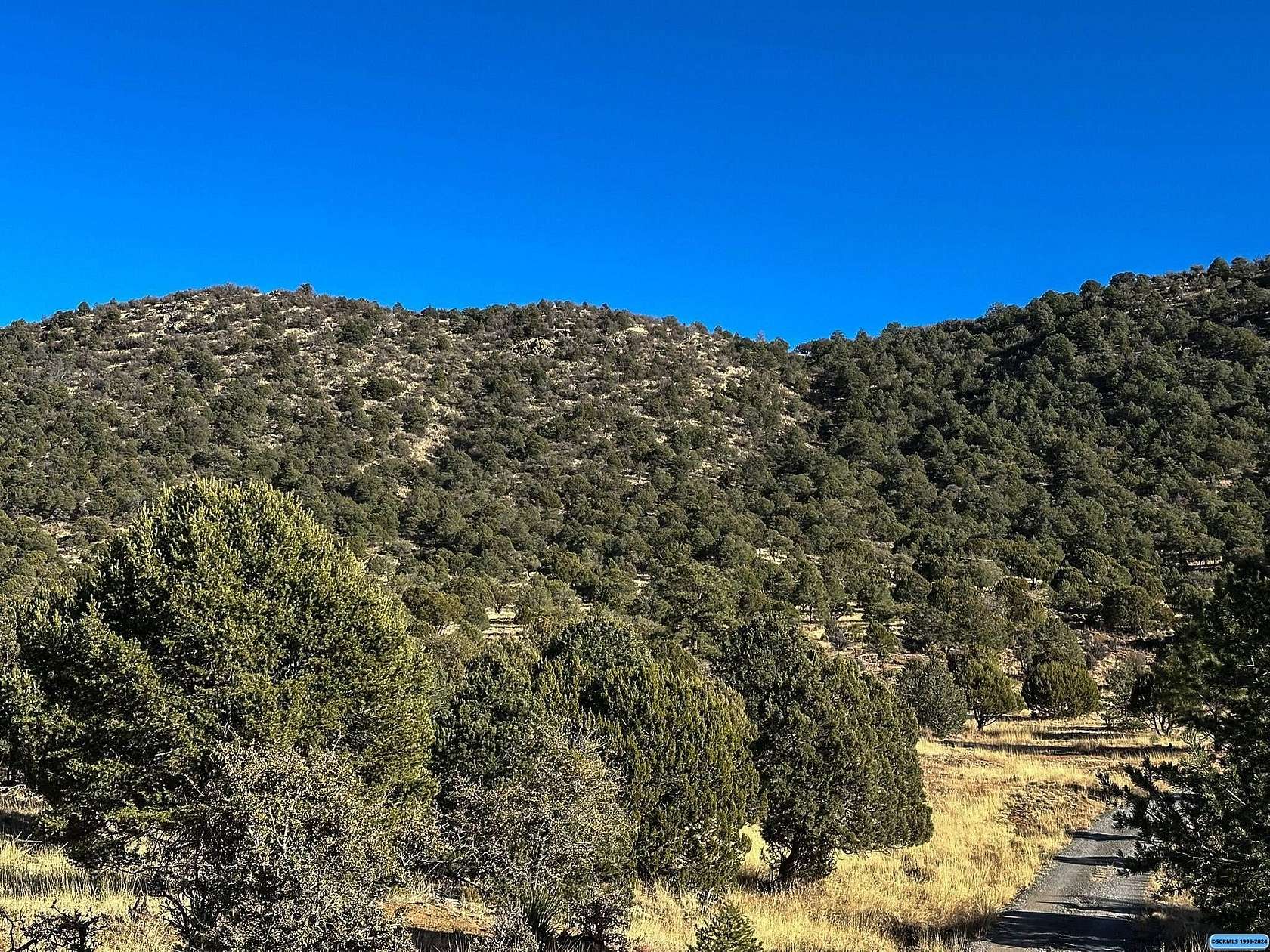 45.85 Acres of Recreational Land for Sale in Silver City, New Mexico