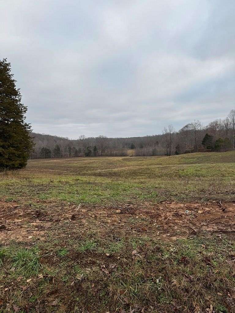 10.93 Acres of Land for Sale in Cedar Grove, Tennessee