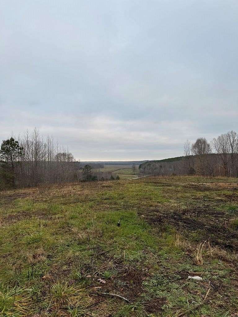 9.78 Acres of Land for Sale in Cedar Grove, Tennessee