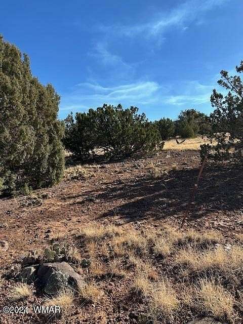 0.23 Acres of Residential Land for Sale in White Mountain Lake, Arizona