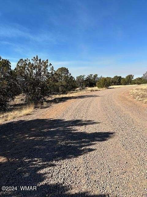 0.37 Acres of Residential Land for Sale in Show Low, Arizona