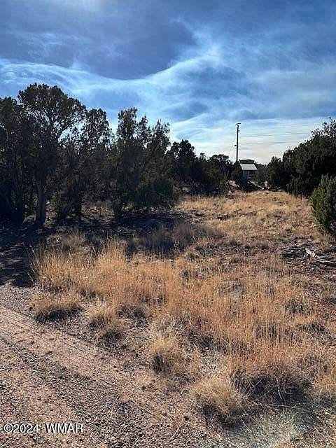 0.48 Acres of Residential Land for Sale in White Mountain Lake, Arizona