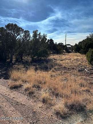 0.48 Acres of Residential Land for Sale in White Mountain Lake, Arizona