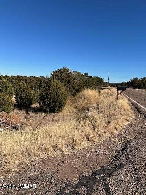 0.3 Acres of Residential Land for Sale in Show Low, Arizona