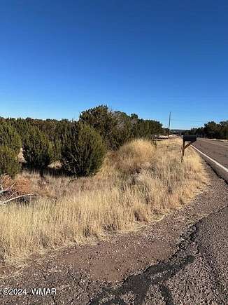 0.3 Acres of Residential Land for Sale in White Mountain Lake, Arizona