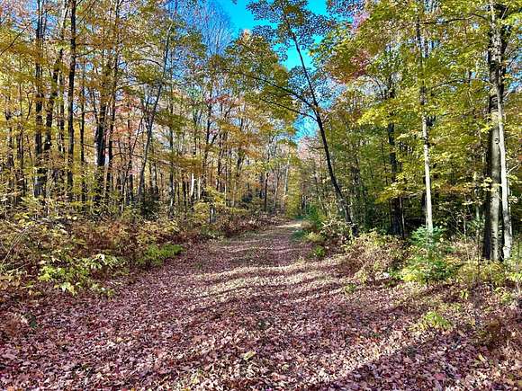 333 Acres of Recreational Land with Home for Sale in Argonne, Wisconsin