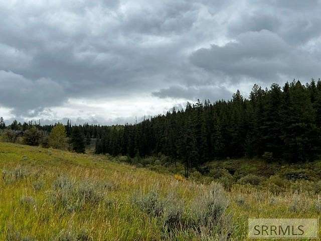 3.63 Acres of Land for Sale in Ashton, Idaho