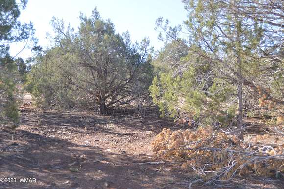 0.26 Acres of Residential Land for Sale in Show Low, Arizona