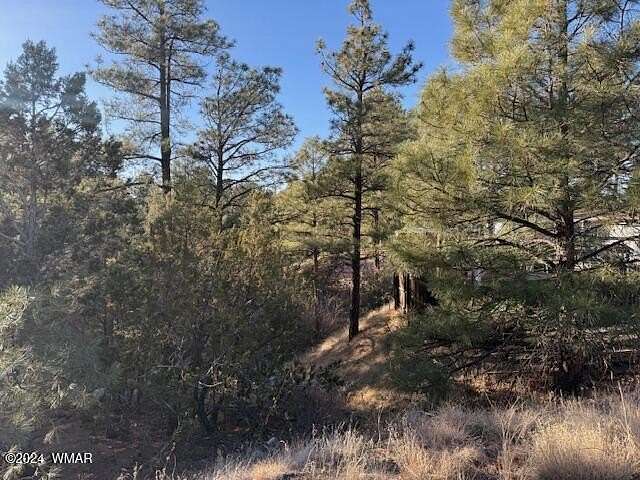 0.15 Acres of Residential Land for Sale in Show Low, Arizona