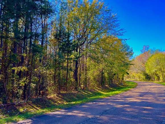 12.27 Acres of Land for Sale in Wesson, Mississippi