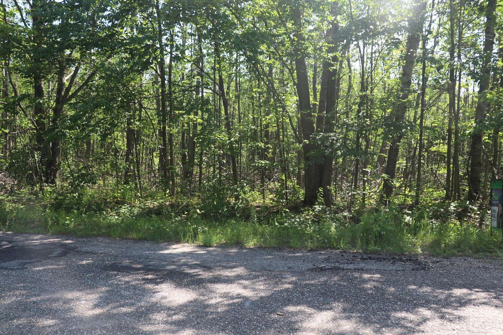 Residential Land for Sale in Elmira, Michigan