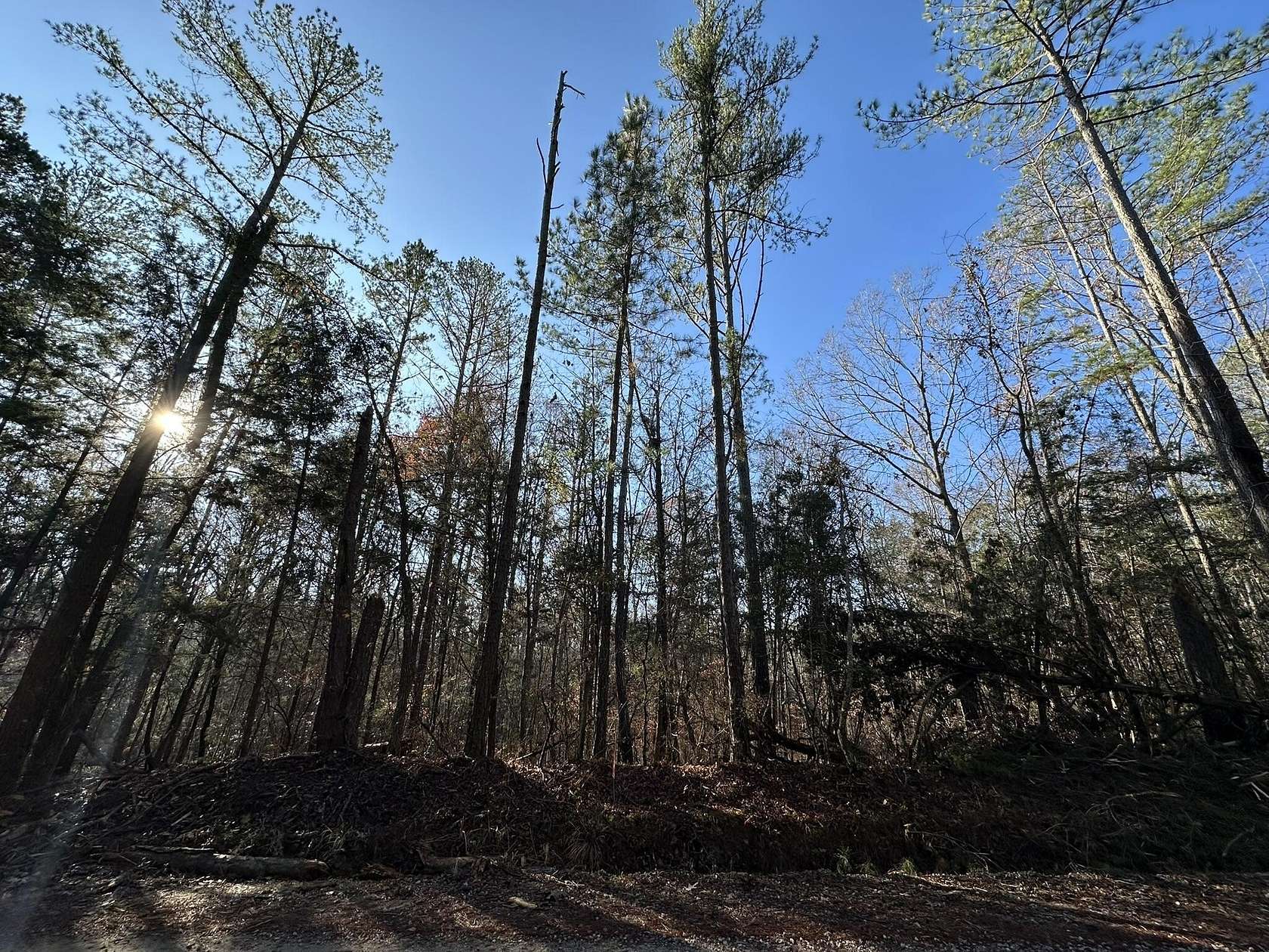 3.14 Acres of Residential Land for Sale in Washington, Georgia