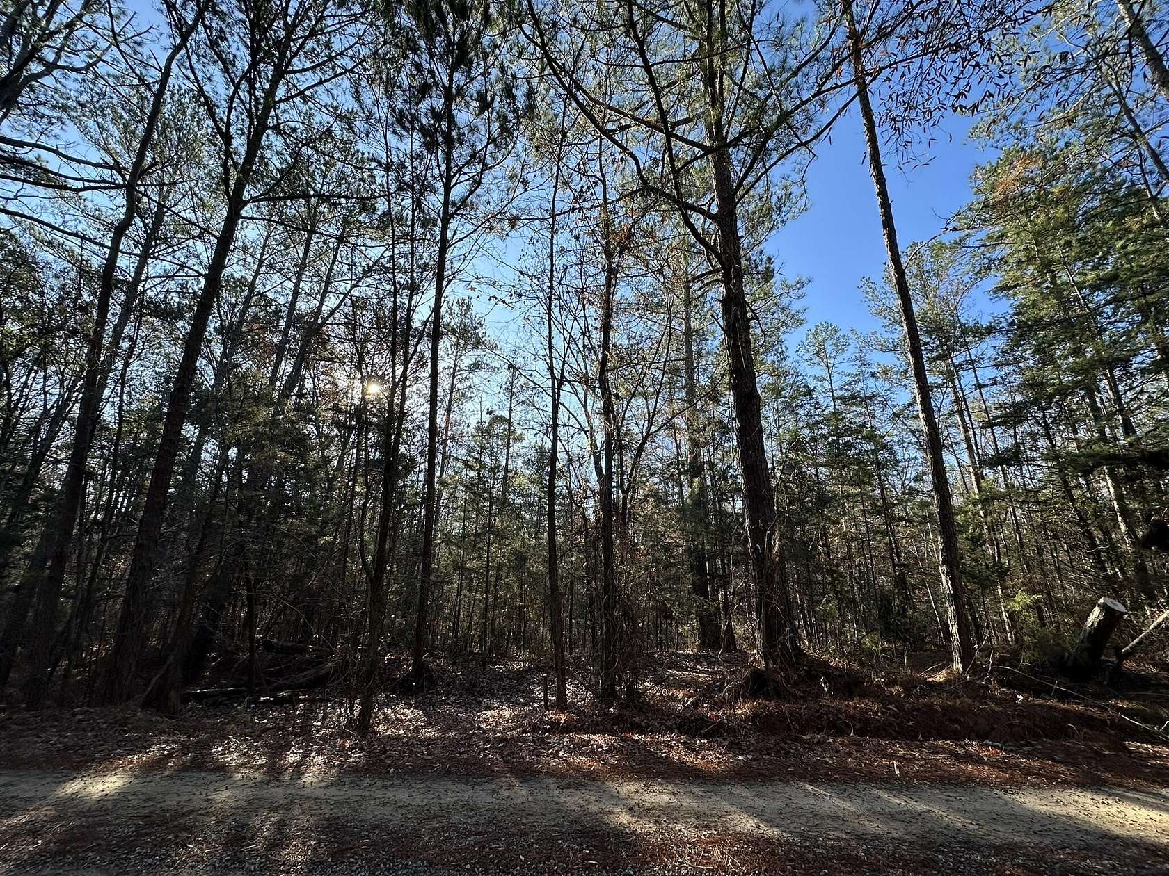 3.1 Acres of Residential Land for Sale in Washington, Georgia