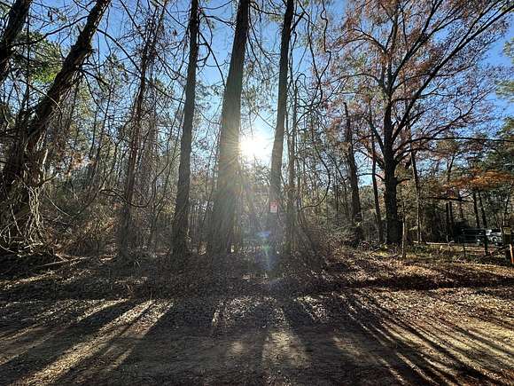 5.78 Acres of Residential Land for Sale in Washington, Georgia