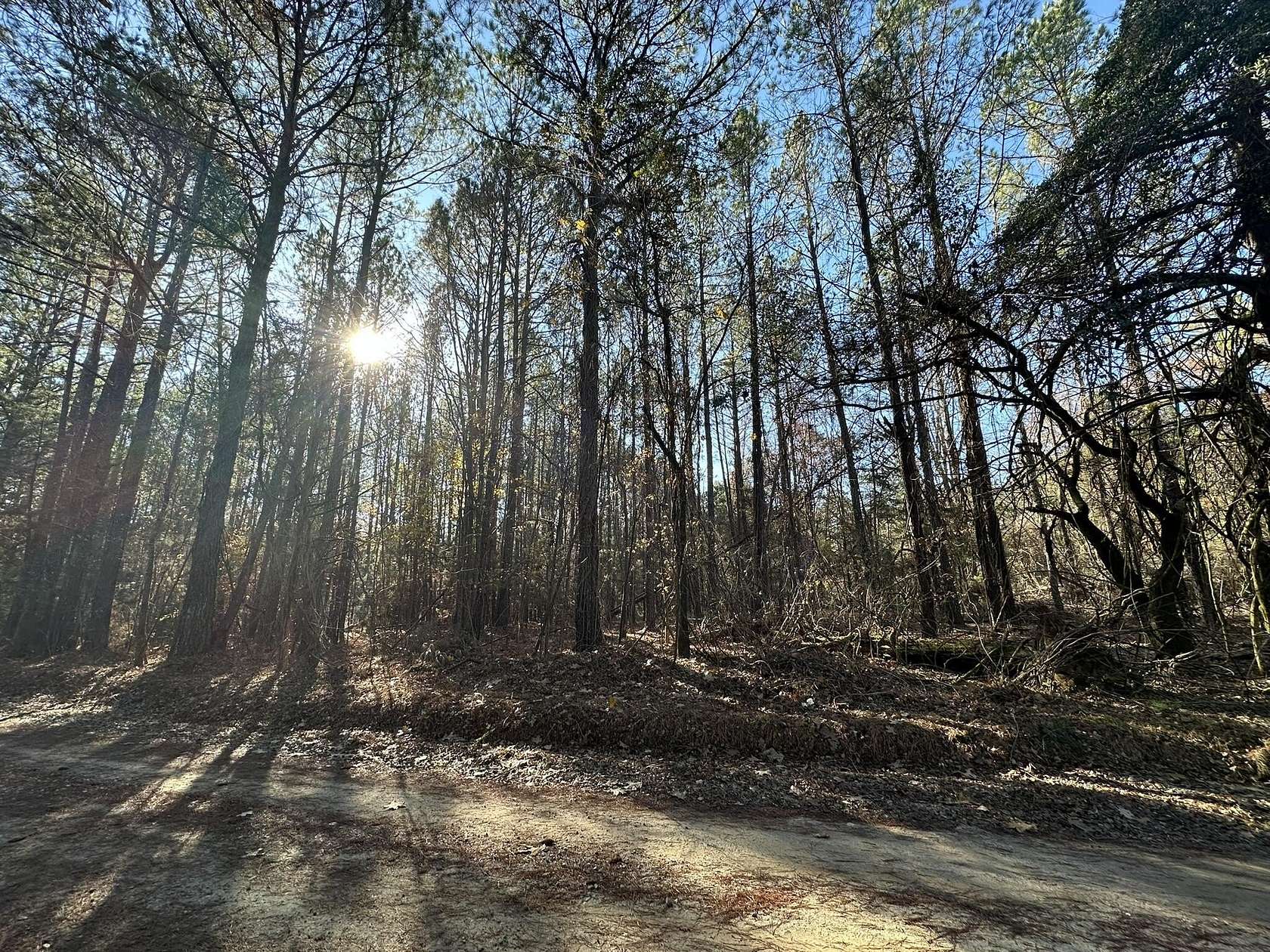 5.02 Acres of Residential Land for Sale in Washington, Georgia