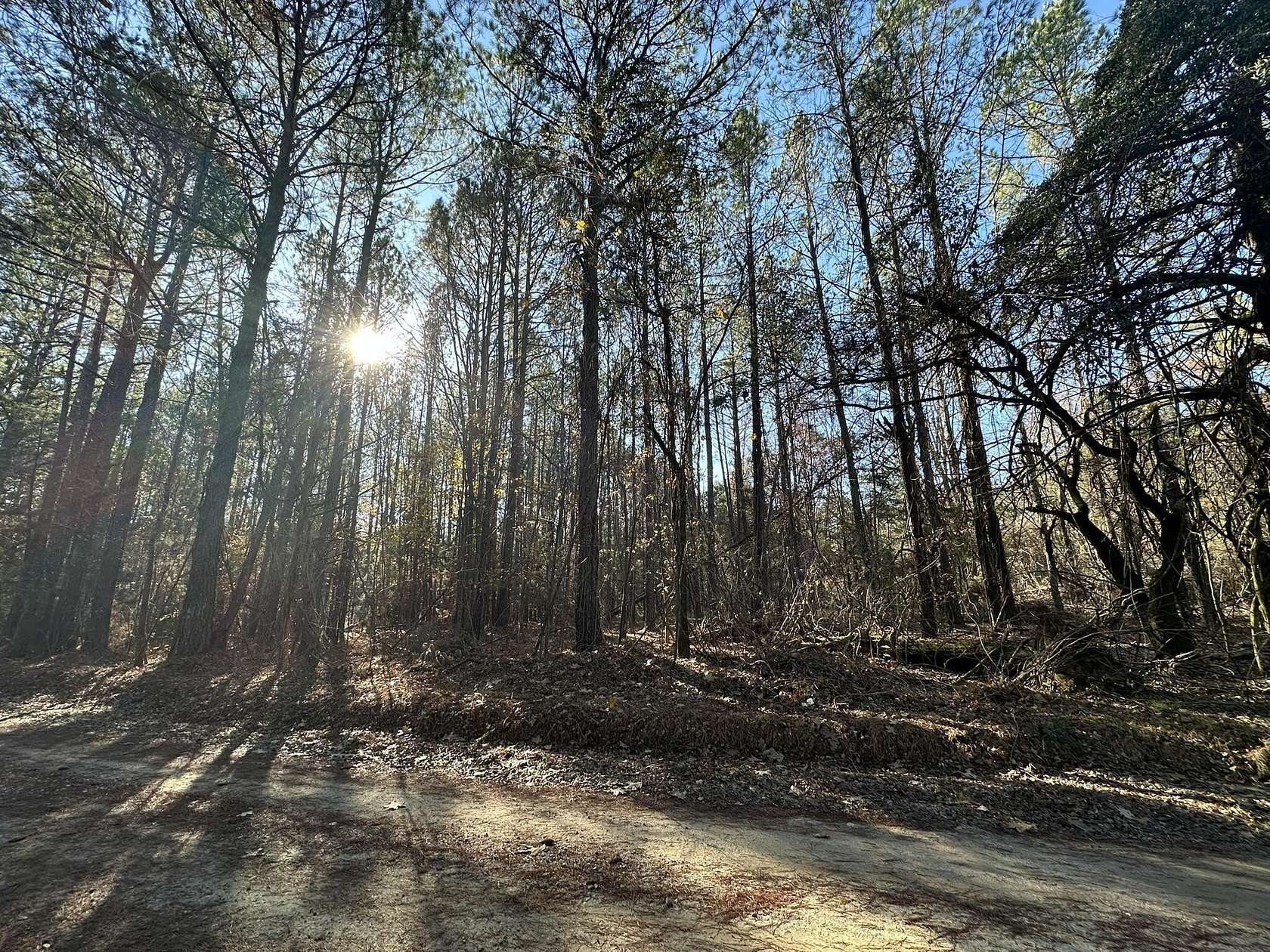 5 Acres of Residential Land for Sale in Washington, Georgia
