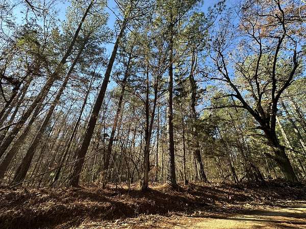 4 Acres of Residential Land for Sale in Washington, Georgia