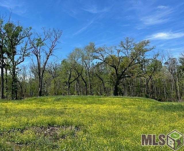 1 Acre of Residential Land for Sale in Geismar, Louisiana
