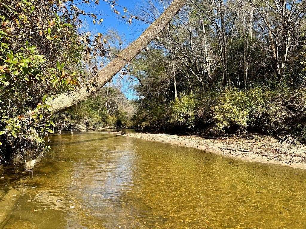 246 Acres of Recreational Land for Sale in Saucier, Mississippi