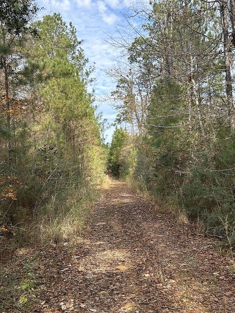 17.6 Acres of Recreational Land for Sale in Lumberton, Mississippi