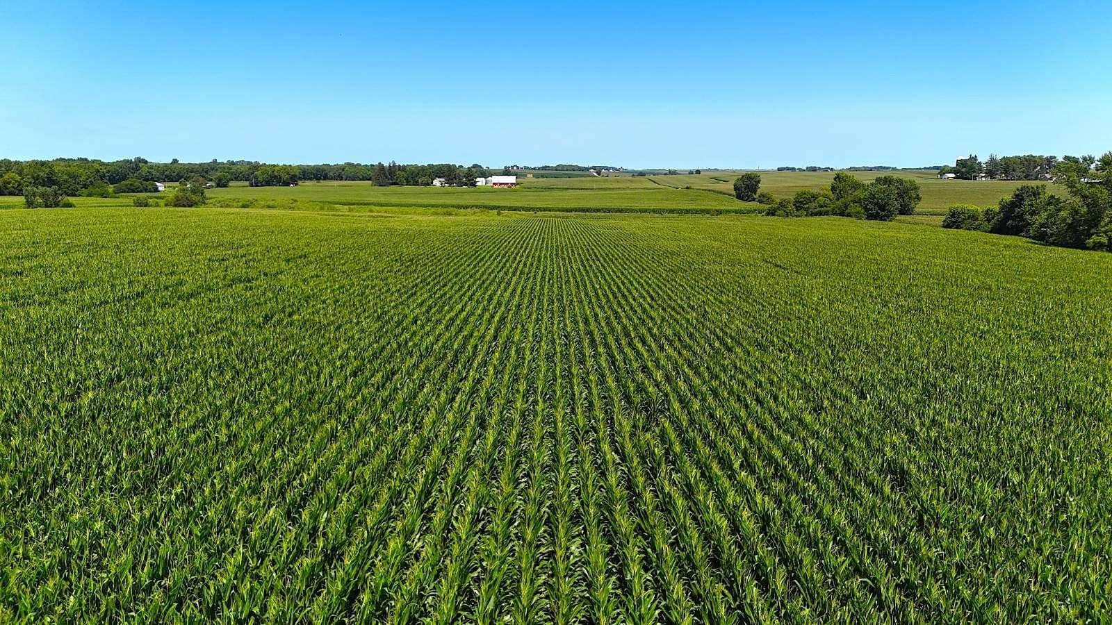 80 Acres of Recreational Land & Farm for Sale in Dunkerton, Iowa