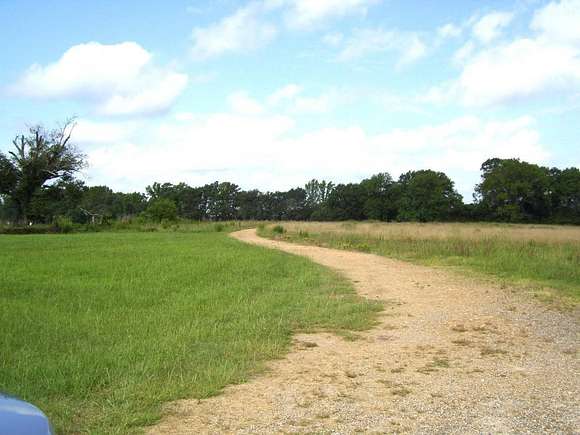 25 Acres of Land with Home for Sale in Winthrop, Arkansas