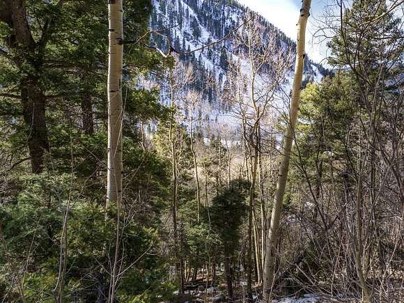 0.49 Acres of Residential Land for Sale in Taos Ski Valley, New Mexico