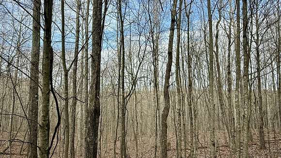 5 Acres of Residential Land for Sale in Dunlap, Tennessee