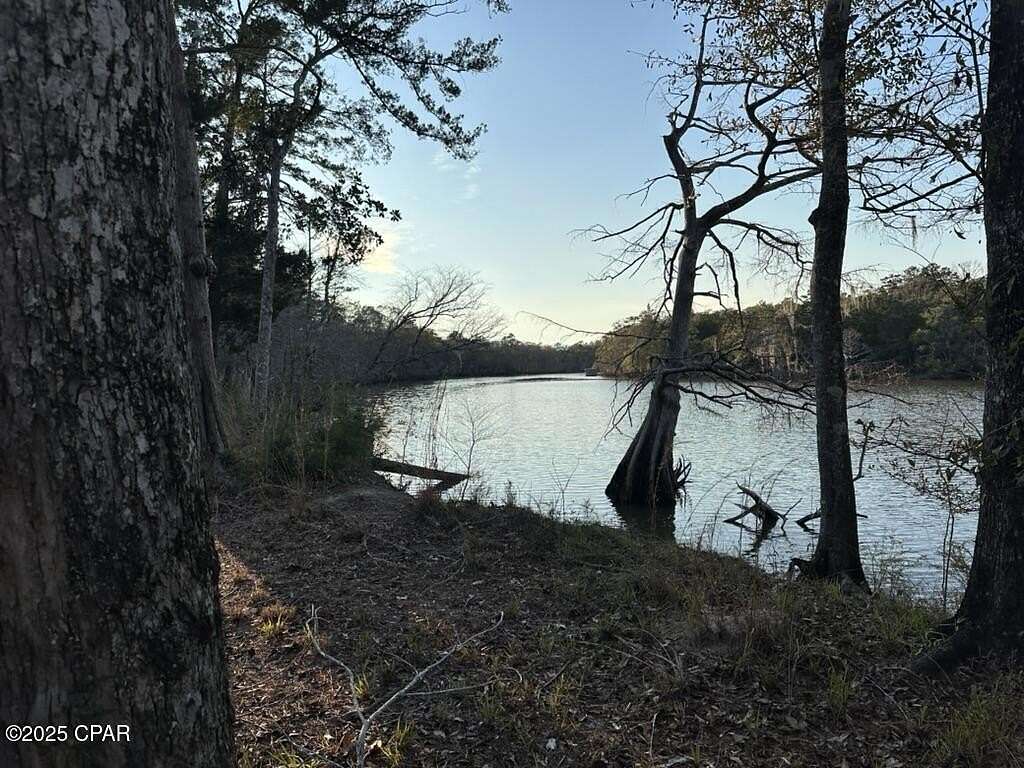 5.49 Acres of Residential Land for Sale in Ebro, Florida
